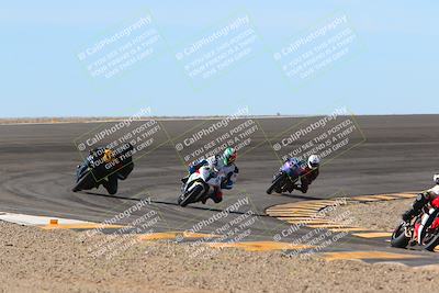 media/Jan-13-2024-SoCal Trackdays (Sat) [[9c032fe5aa]]/Bowl Exit Set 1 (1125am)/